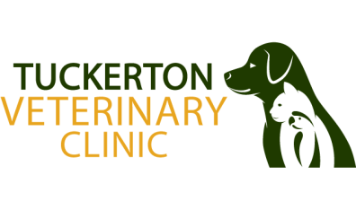 Tuckerton Veterinary Clinic-HeaderLogo